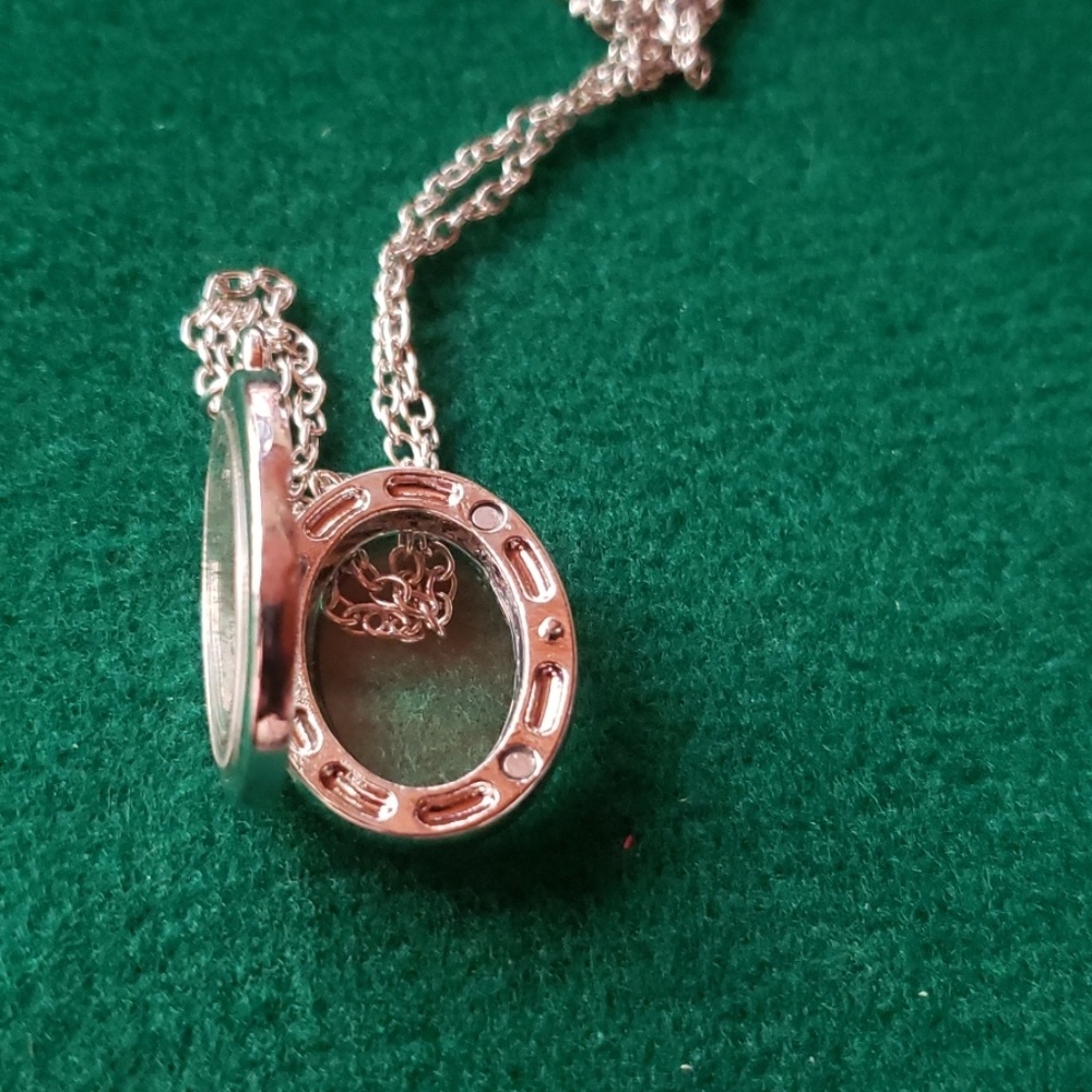 Women's fashion oval magnetic necklace - Picture 4 of 5